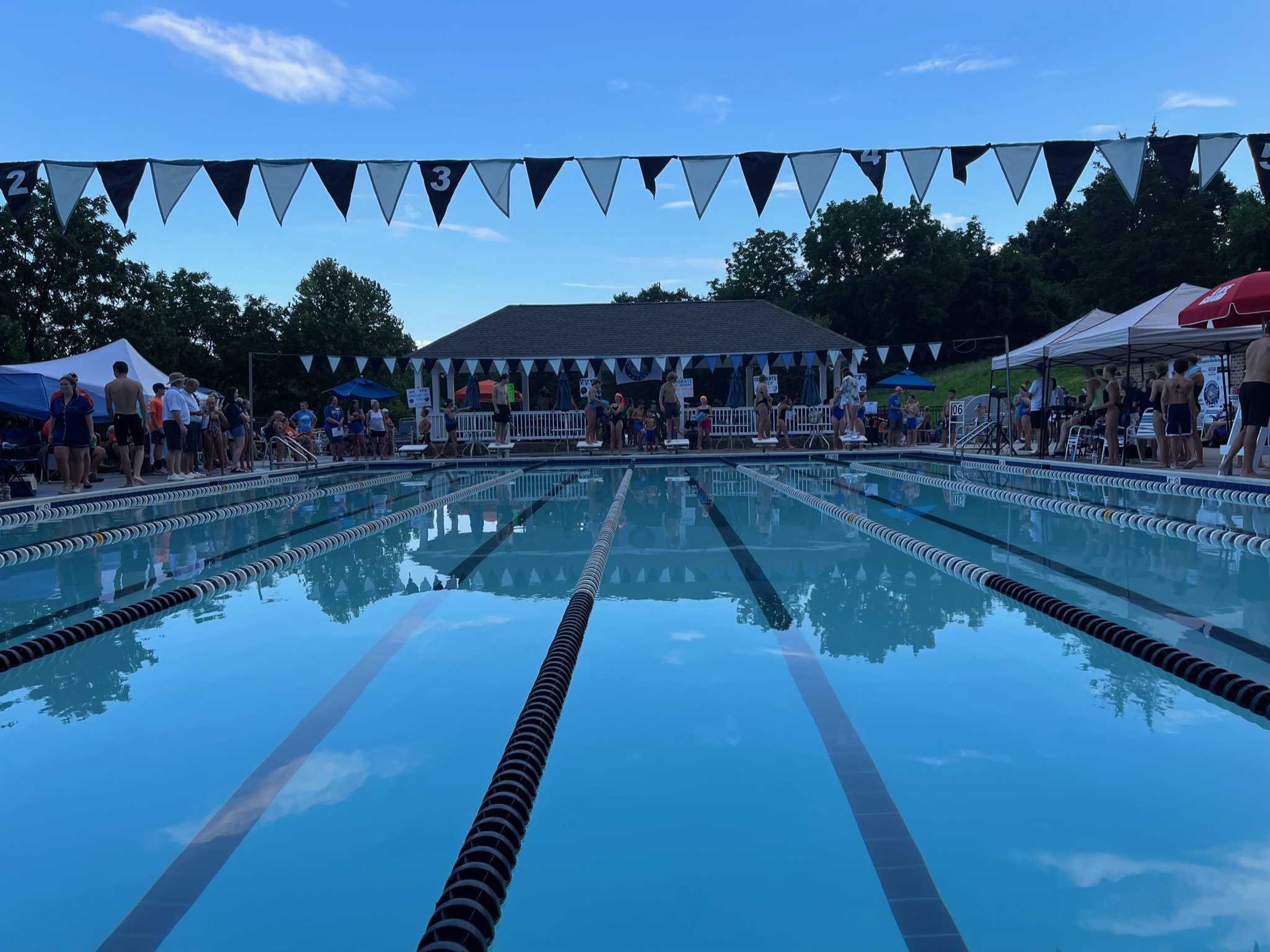 farmington shark swim meet